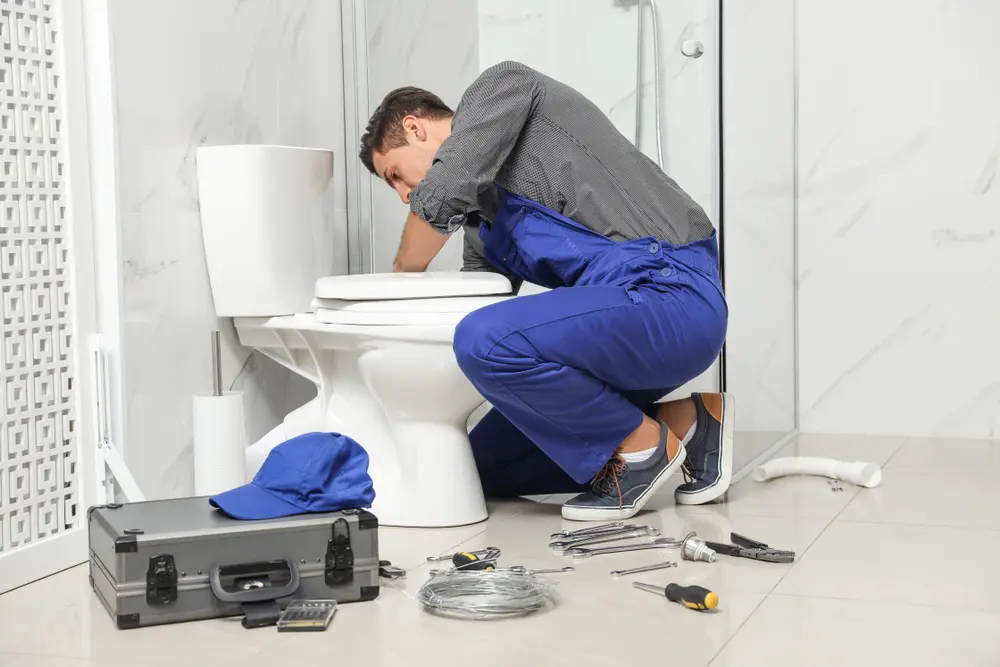 Toilet Repair in Netos
